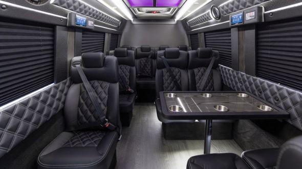 15 passenger sprinter van interior brownsville