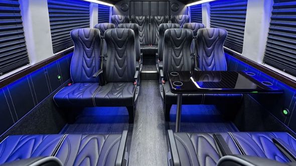 brownsville 20 passenger sprinter van interior