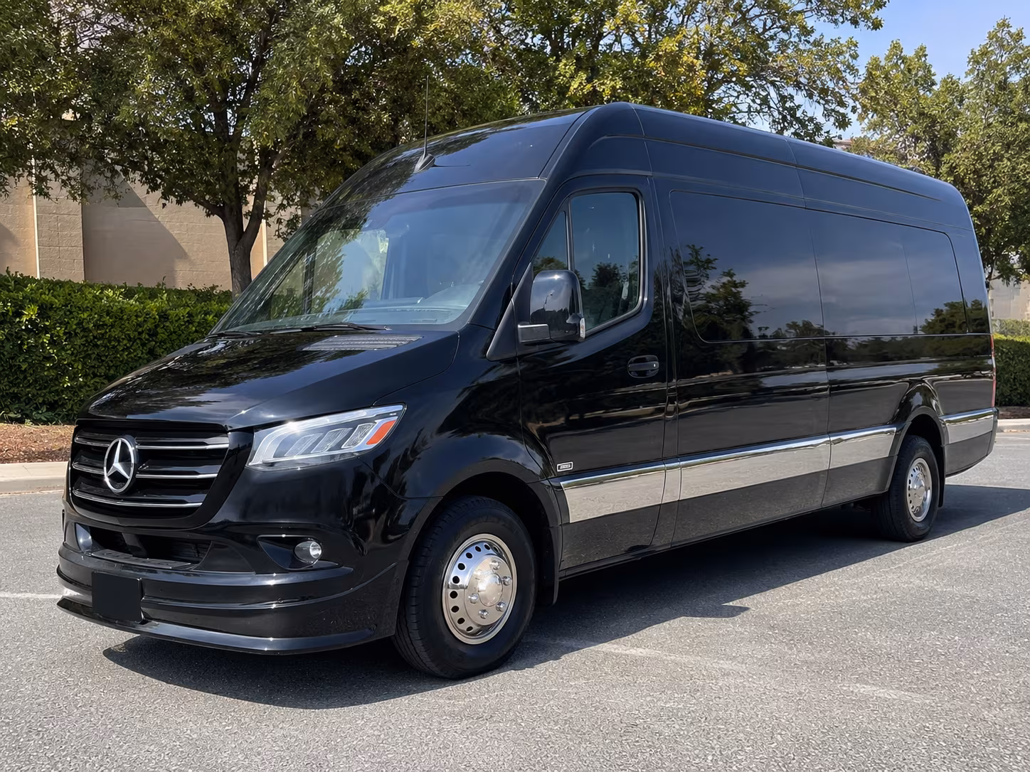brownsville 10 passenger sprinter van