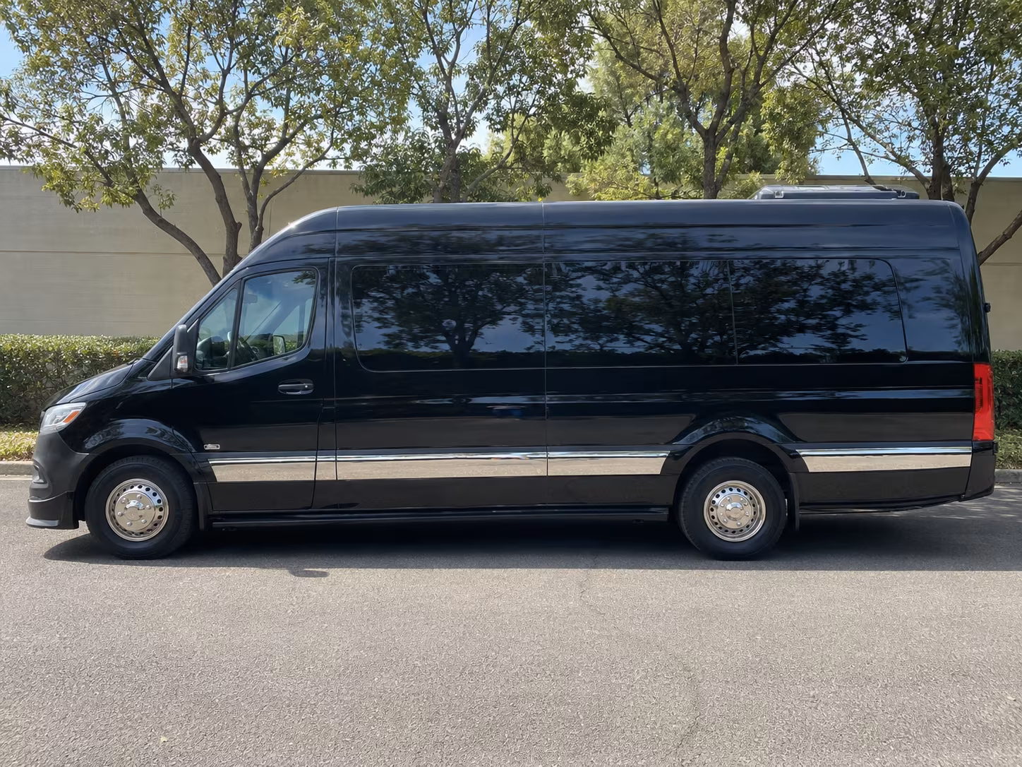 brownsville 12 passenger sprinter van