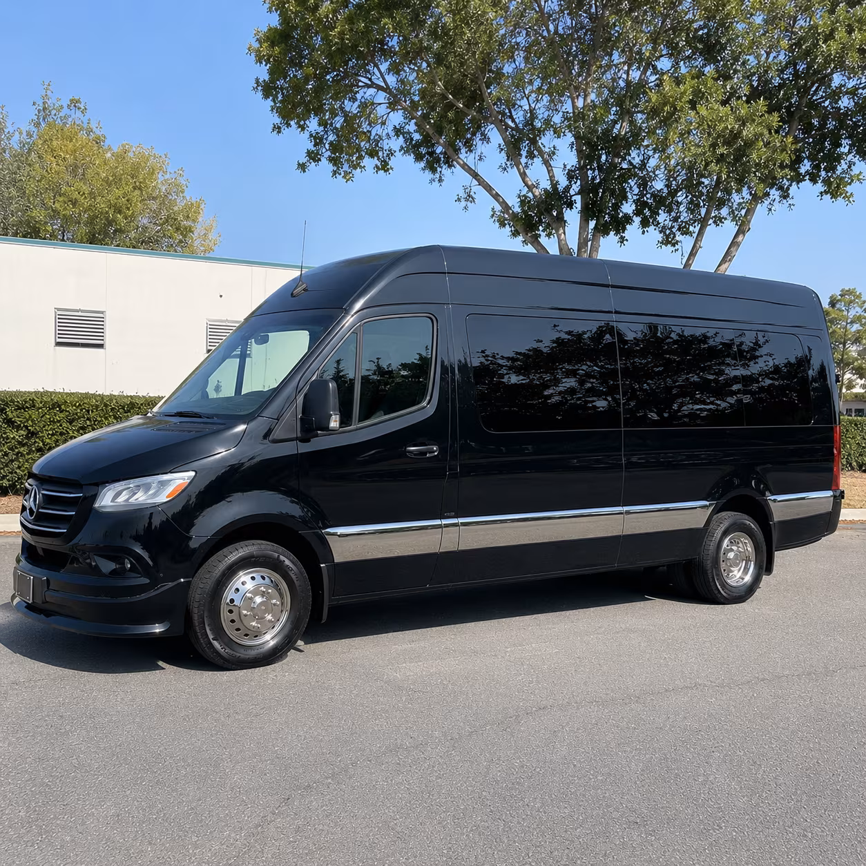brownsville 15 passenger sprinter van