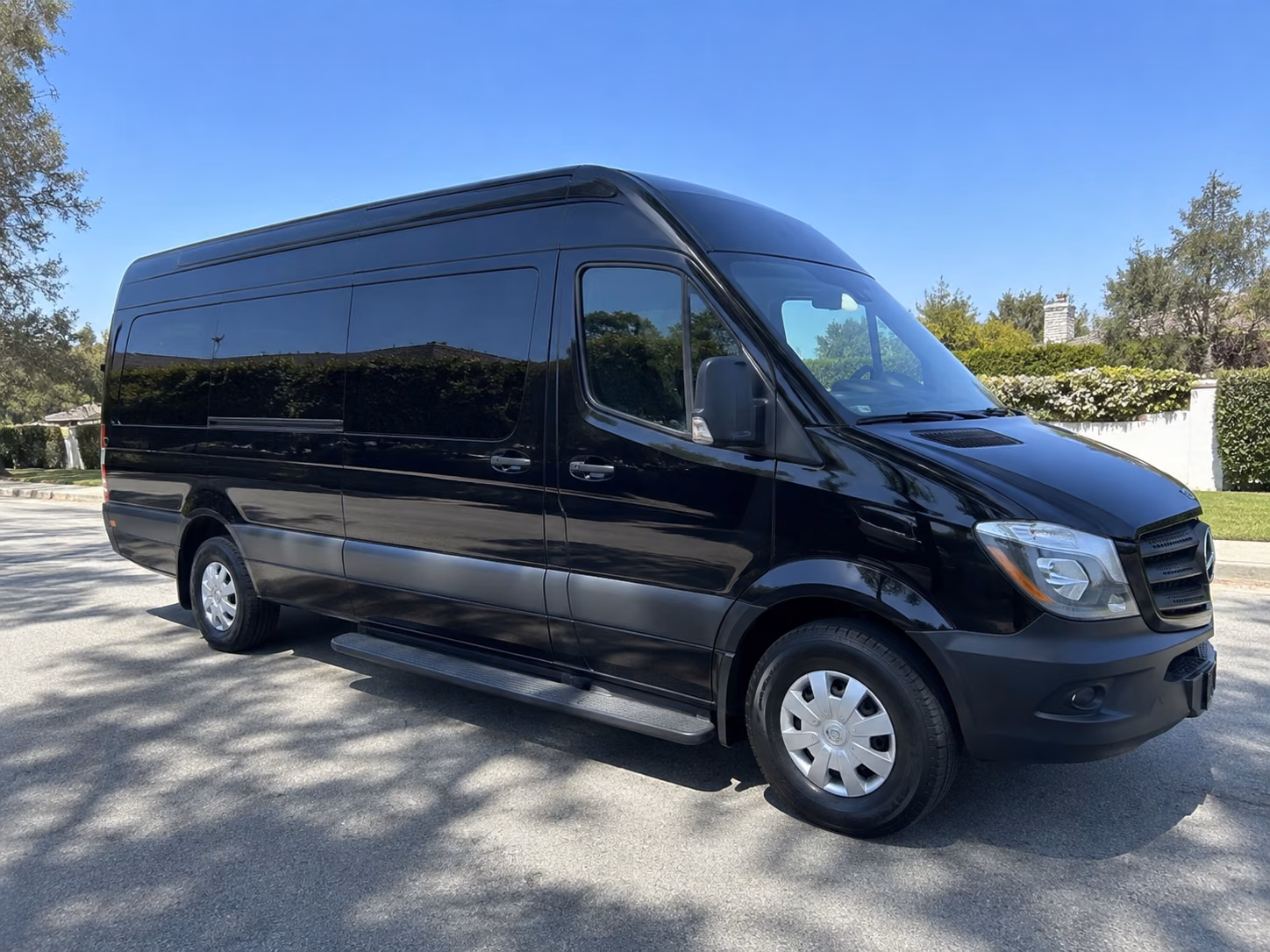 brownsville 18 passenger sprinter van