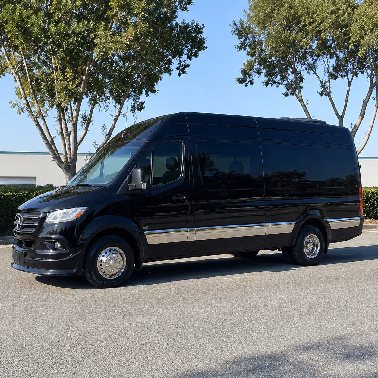 brownsville 8 passenger sprinter van