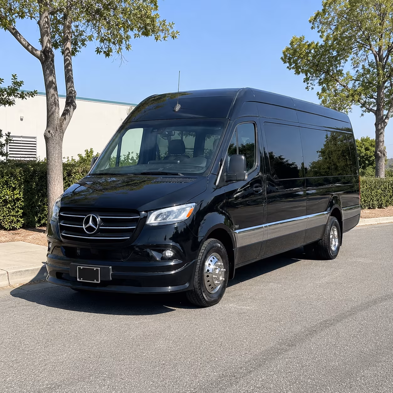 brownsville corporate sprinter van service